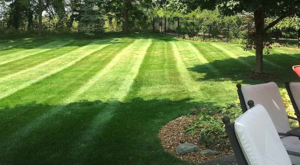 Commercial and Landscaping Sod Installation in Dallas