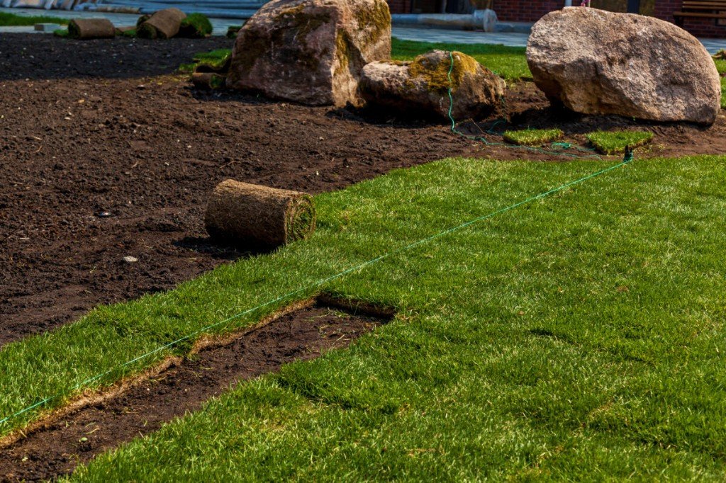 Residential Sod Installation in Dallas